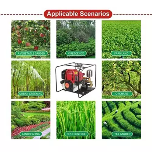 Falcon Agricultural Portable Sprayer Multicolor 4 Stroke 0.80 kW for Gardening & Agricultural Use, FAPS-352