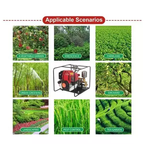 Falcon Agricultural Portable Sprayer Multicolor 4 Stroke 1.25 kW for Gardening & Agricultural Use, FAPS-502