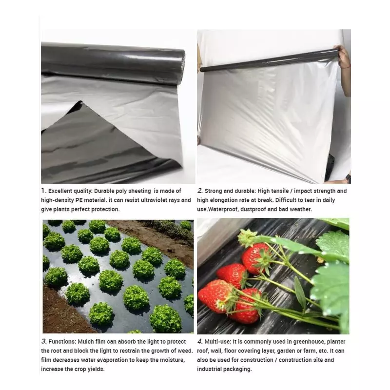 singhal-mulching-film-400-m-length-1-m-width-20-micron-lldpe-ldpe-virgin-plastic