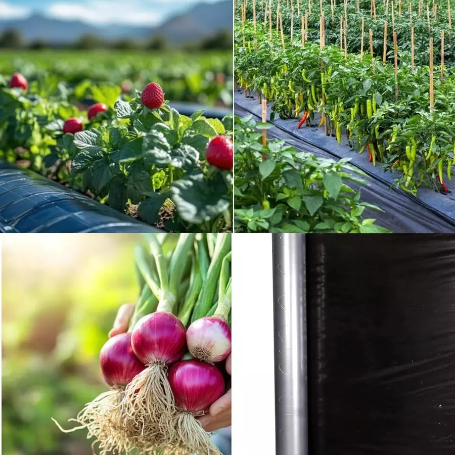 singhal-mulching-film-400-m-length-1-m-width-20-micron-lldpe-ldpe-virgin-plastic