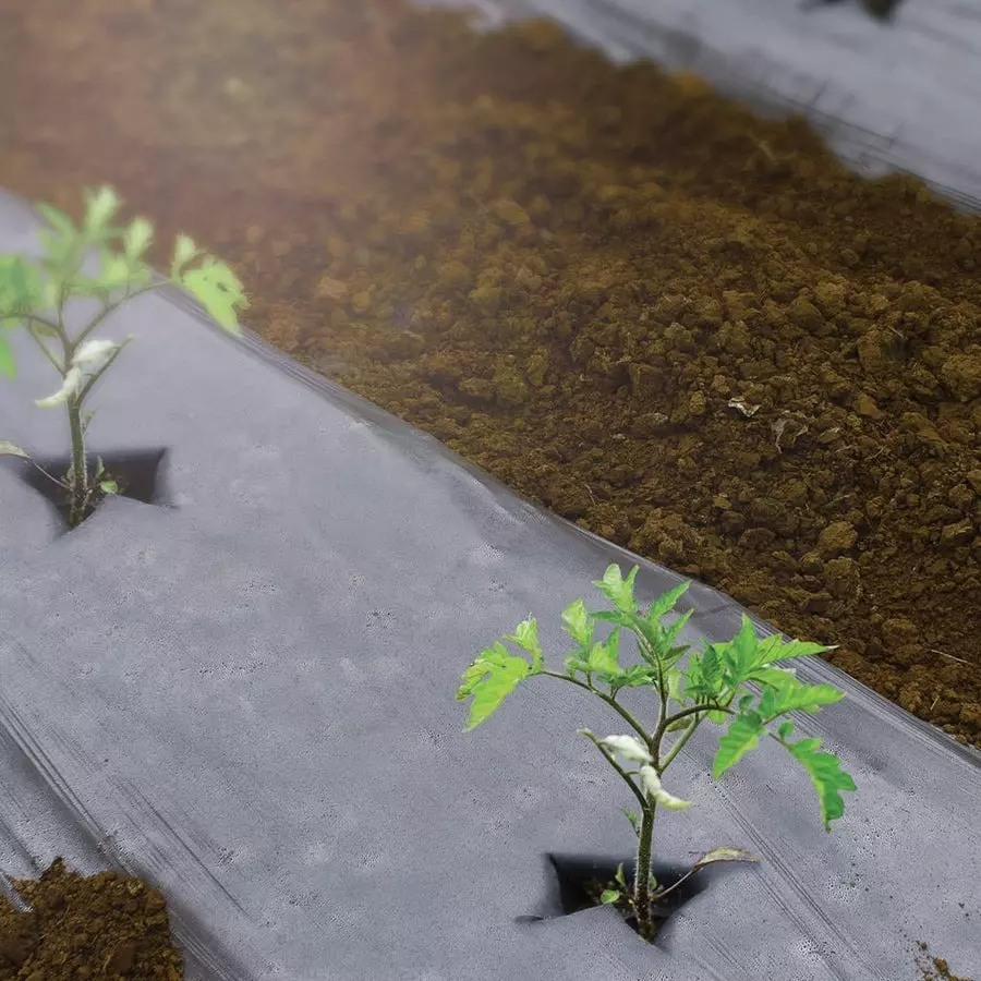 singhal-mulching-film-400-m-length-1-m-width-20-micron-lldpe-ldpe-virgin-plastic