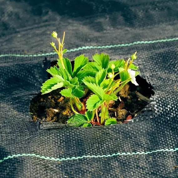 singhal-premium-weed-control-mat-woven-polypropylene-12x10-m-size-black-wmb_12x10