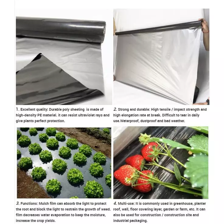 singhal-premium-mulching-film-sheet-12-mx400-m-lldpe-ldpe-virgin-plastic-25-micron