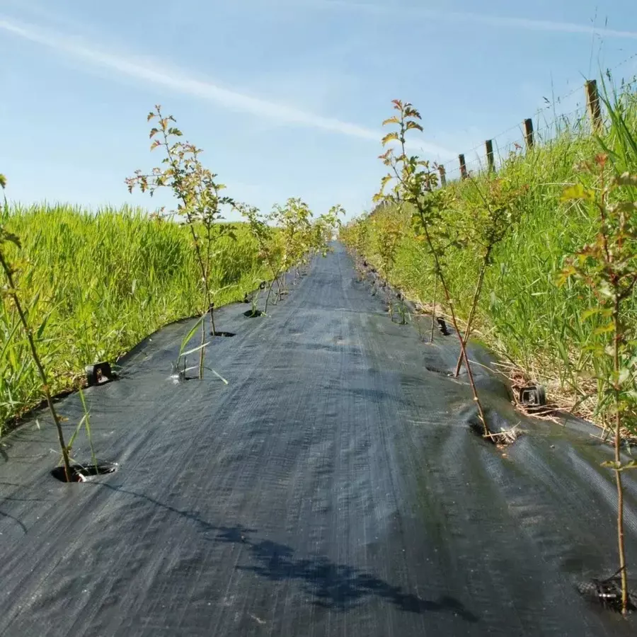 SINGHAL Premium Garden Weed Control Barrier Sheet Mat Black Size 0.80x15 m