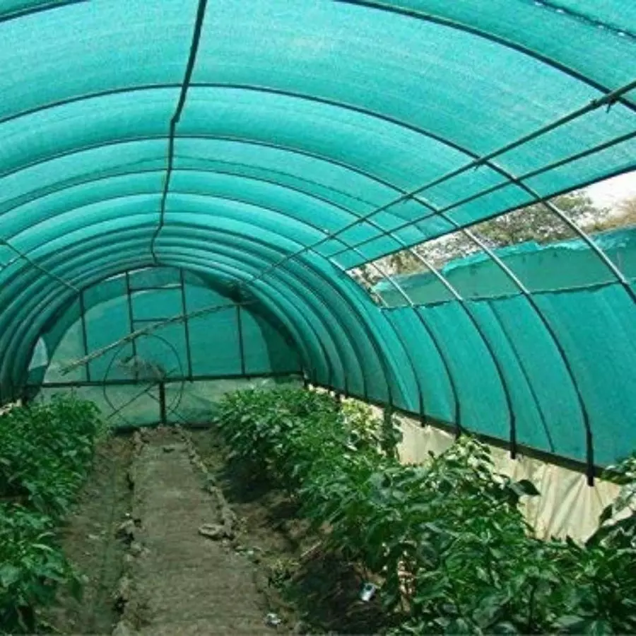 Singhal House Net HDPE 3x30 m Green & Black with 70% UV Protection