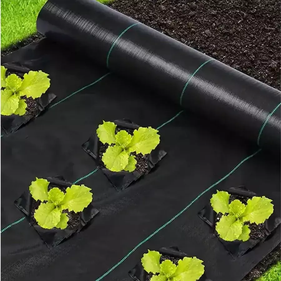 singhal-weed-control-barrier-sheet-mat-heavy-duty-polypropylene-1x20-m-size-black-wmb_1x20