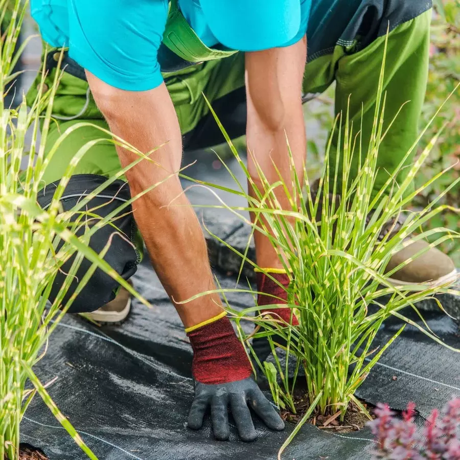 singhal-weed-control-barrier-sheet-mat-heavy-duty-polypropylene-4x40-m-size-black-wmb_4x40