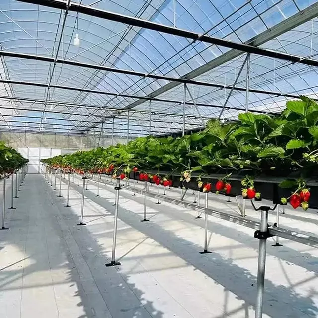 singhal-weed-control-mat-heavy-duty-polypropylene-uv-resistant-4x100-m-size-white-wmw_4x100