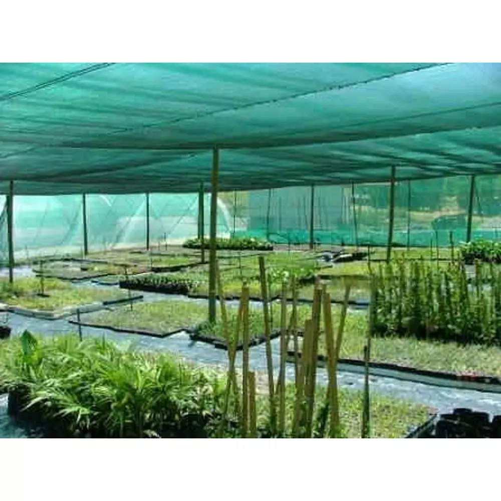 generic-90-shade-net-green-color-3-m-width-and-50-m-length-for-blocking-sun-light