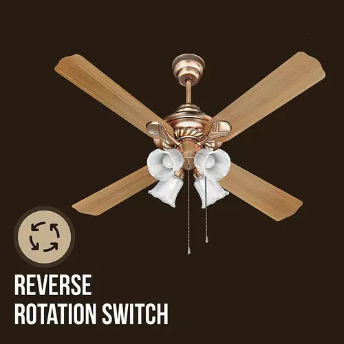 Havells Florence U/L ES Black Antique Brass 1200 mm Ceiling Fan, FHCUF1SBAB48