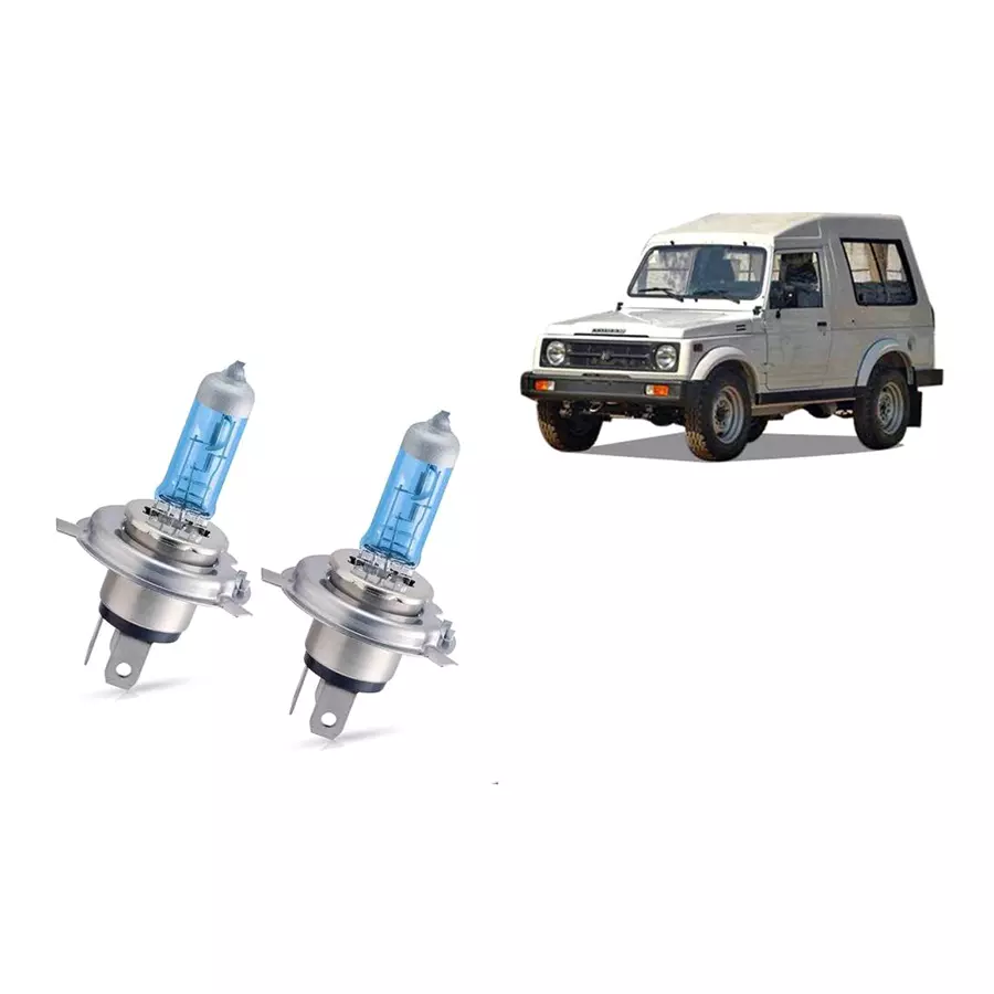 Auto Pearl Halogen Fog Lamp Unit for Maruti Suzuki Gypsy