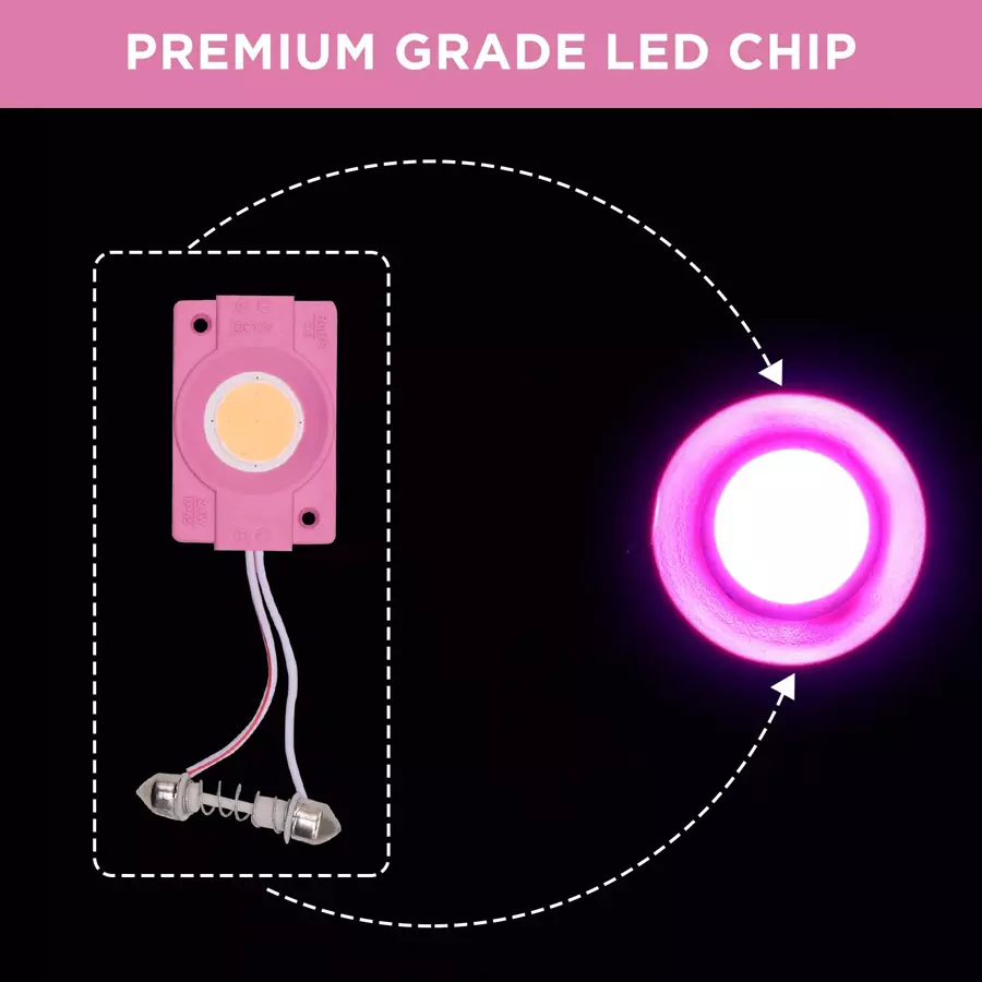 AllExtreme EX09D1P Super Bright Roof Light Reading Dome Bulb Lamp with Festoon Holder - Pink