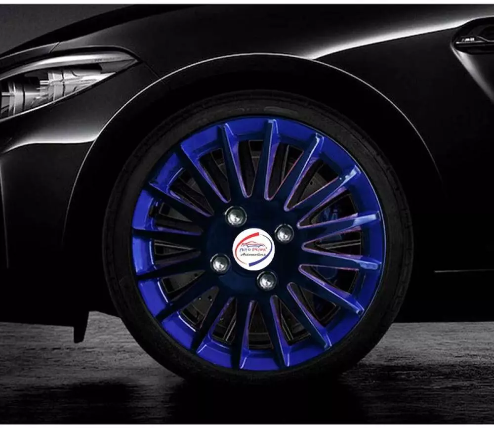 Auto Pearl R13 Press Type With Retention Ring PTAC62 Wheel Cover for Santro Xing48.102 cm