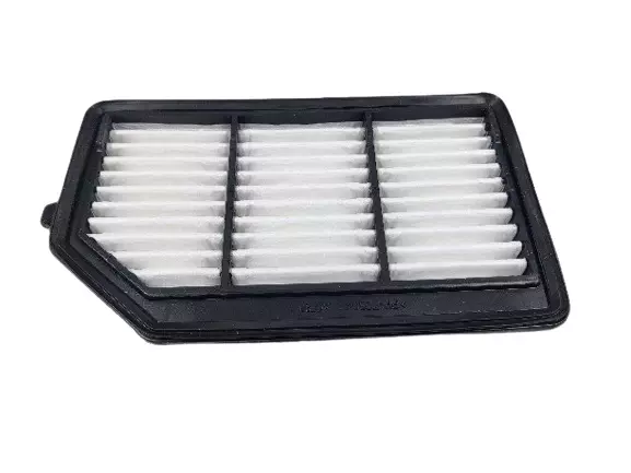 Purolator 2436ELI99 Air Filter for Honda Amaze (NEW 2018)