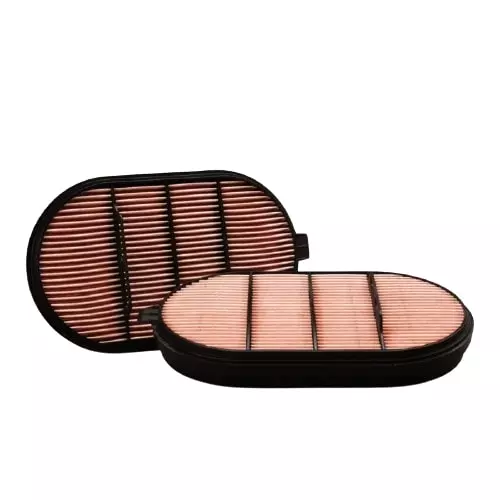 Donaldson 31.65 cm (12.46 Inch) Air Filter Safety Obround P601560