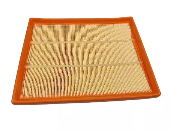 Purolator 2924ELI99 Air Filter for Beat