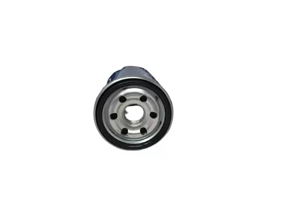 Dkmax by Lumax 081-OFA-A - Oil Filters for Santro (Pack of 1)