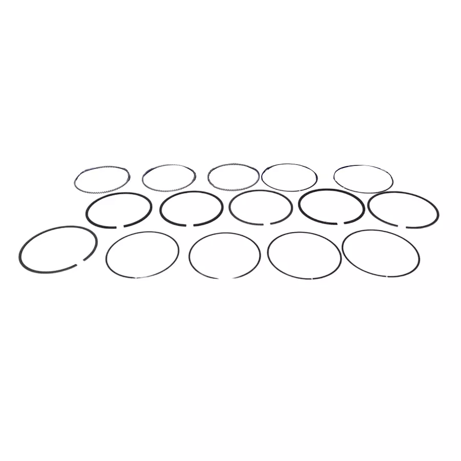 Buy Tata Motors SET PISTON RINGS for XENON (01.200912.2017) Diesel