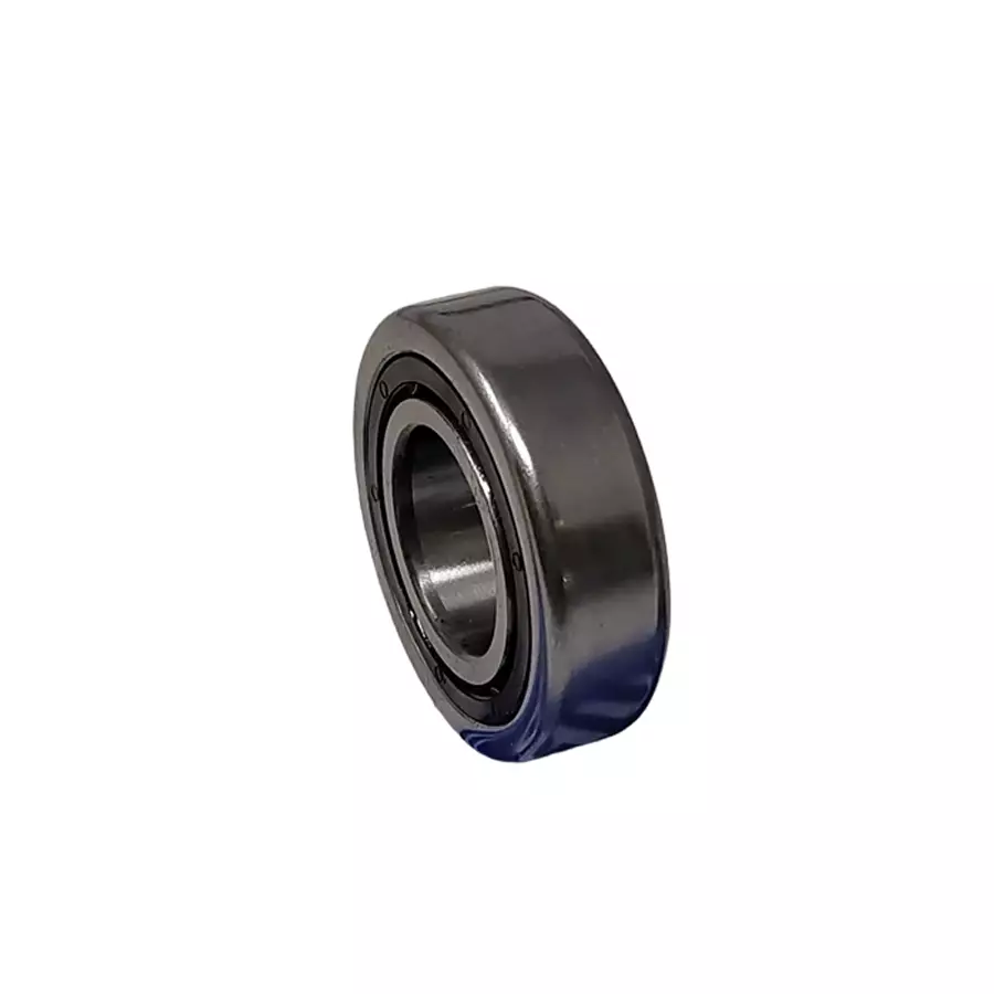 Tata Motors CYL.ROLLER BEARING for INDIGO XL (05.2007-12.2011) Diesel, G269026203110