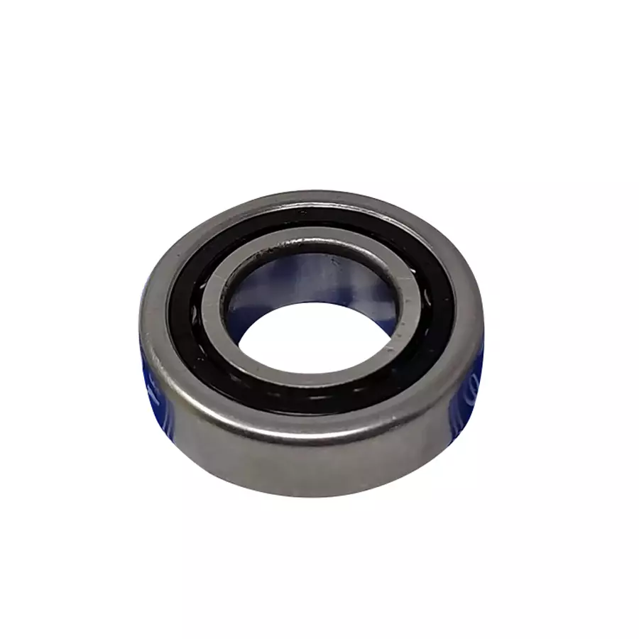 Tata Motors CYL.ROLLER BEARING for INDIGO XL (05.2007-12.2011) Diesel, G269026203110