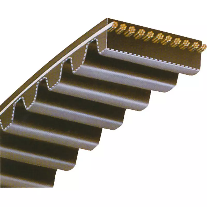 Mitsuboshi Super Torque Timing Belt S14M Type 4004 mm Pitch Circumference, 800Ds14M4004