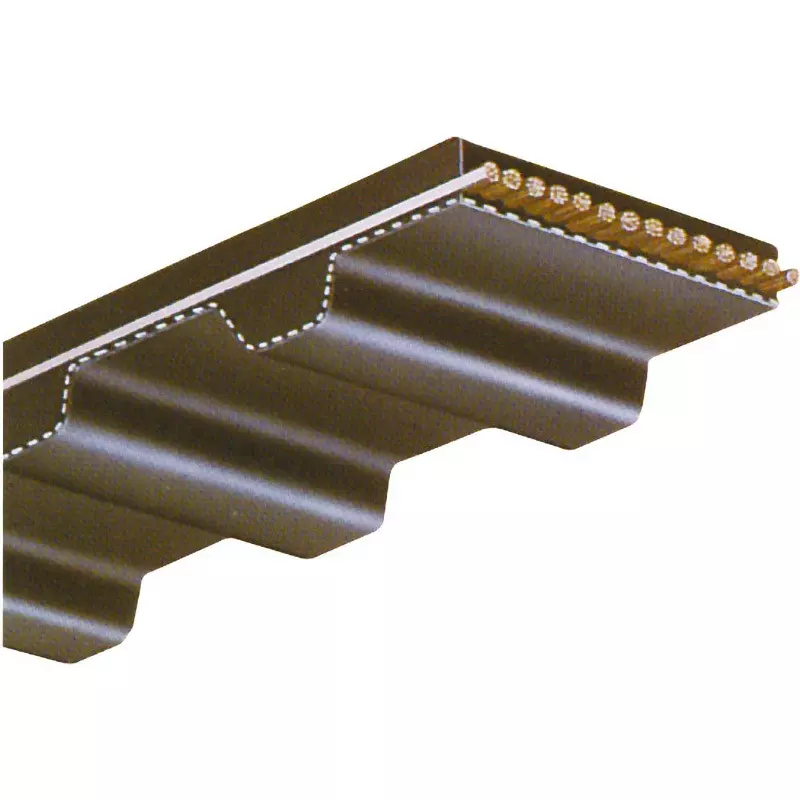Mitsuboshi Timing Belt MXL Type 3.2 (Chloroprene Rubber) 412.5 mm Pitch Circumference, 203Mxl3.2