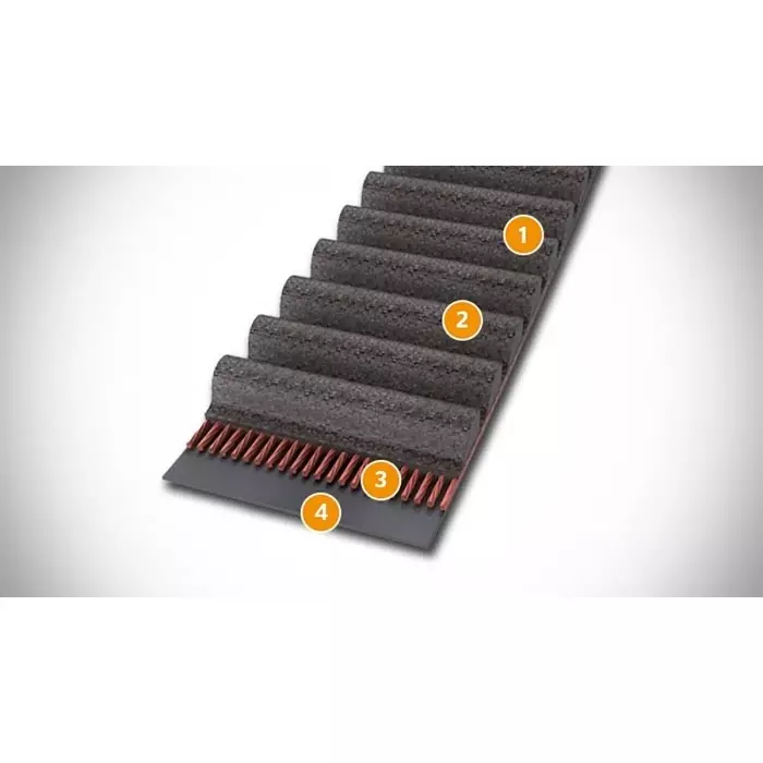 Contitech Timing Belt 145 Teeth 1160 mm Length 20 mm Width, 1160 -8M 20 CXP
