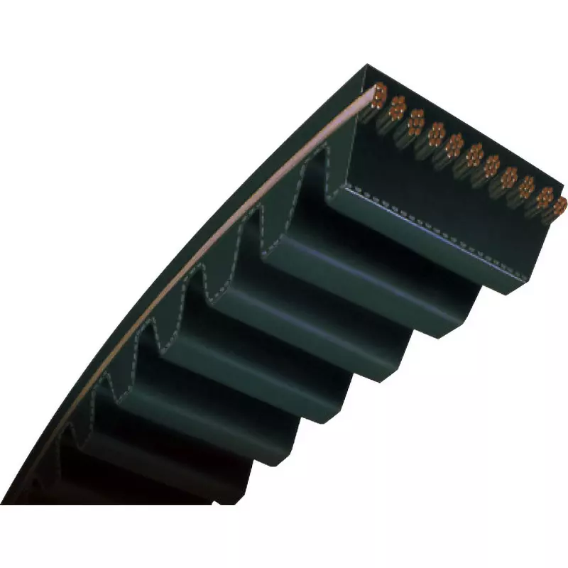 Mitsuboshi High Hardness Synthetic Rubber Mega Torque G Timing Belt MTS5M Type (255 mm, Teeth 51), 100MTS5M255