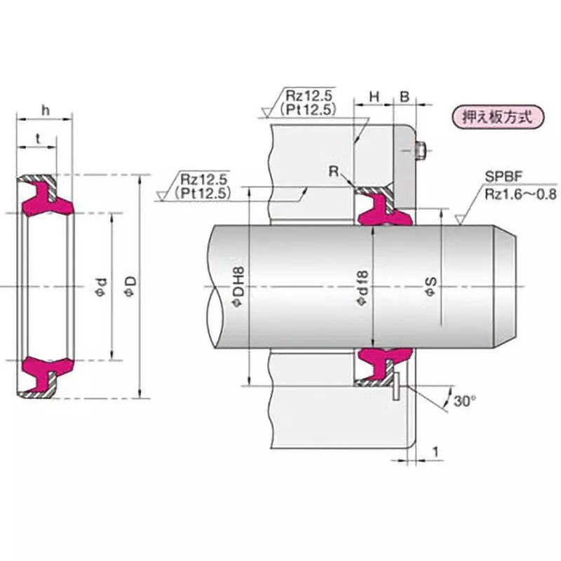 NOK Seal DKBI Type 40x52 mm Diameter, DKBI 40 52 7 10