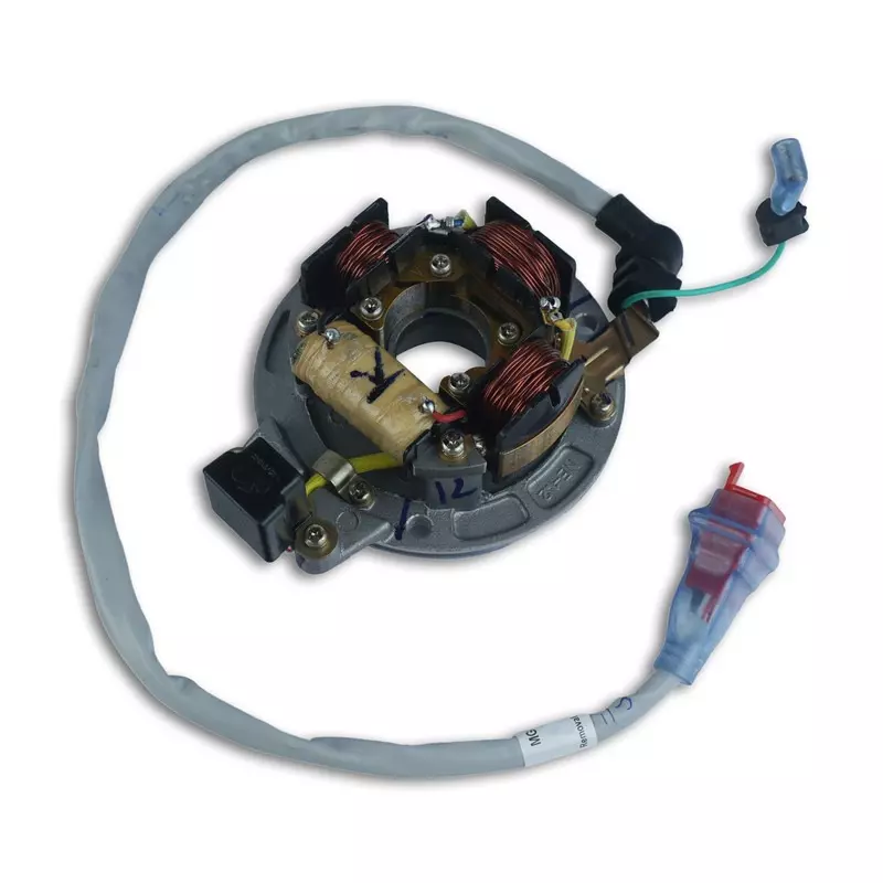 Varroc Coil Plate Assembly High-Performance Copper Winding for Bajaj Boxer C 100, MGCP-C100-DF20