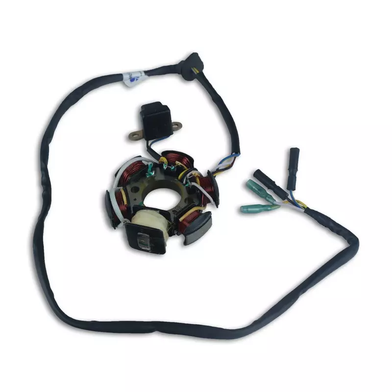 Varroc Coil Plate Assembly High-Performance Copper Winding for Honda Activa O M 100CC, MGCP-ATVA-3101