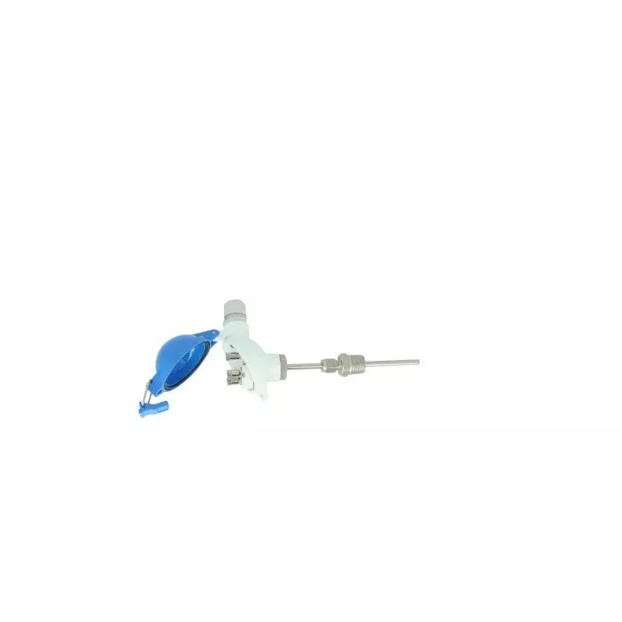 GEORGIN PT100 Temperature Probe, 6mm Dia, 250mm Long, NPT 1/2, +400°C Max, 4-20 mA 0â€¦200°C, S1KFNA03ABB2602500AE