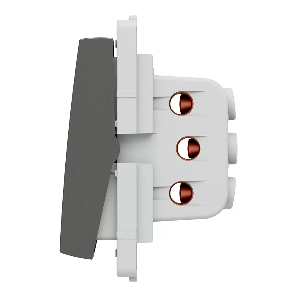Schneider Electric Switch Livia Series 16 Amp Painted Grey, P1102_PG_N