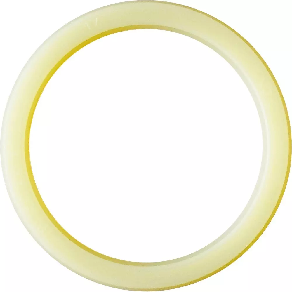 NOK Packing ISI Series 50x60 mm Diameter, ISI 50 60 6