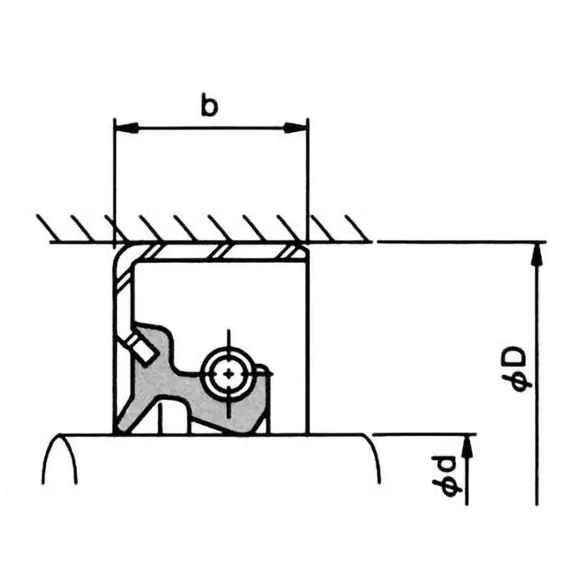 NOK φ100x125 mm TB2 Type Metal Oil Seal, TB10012513