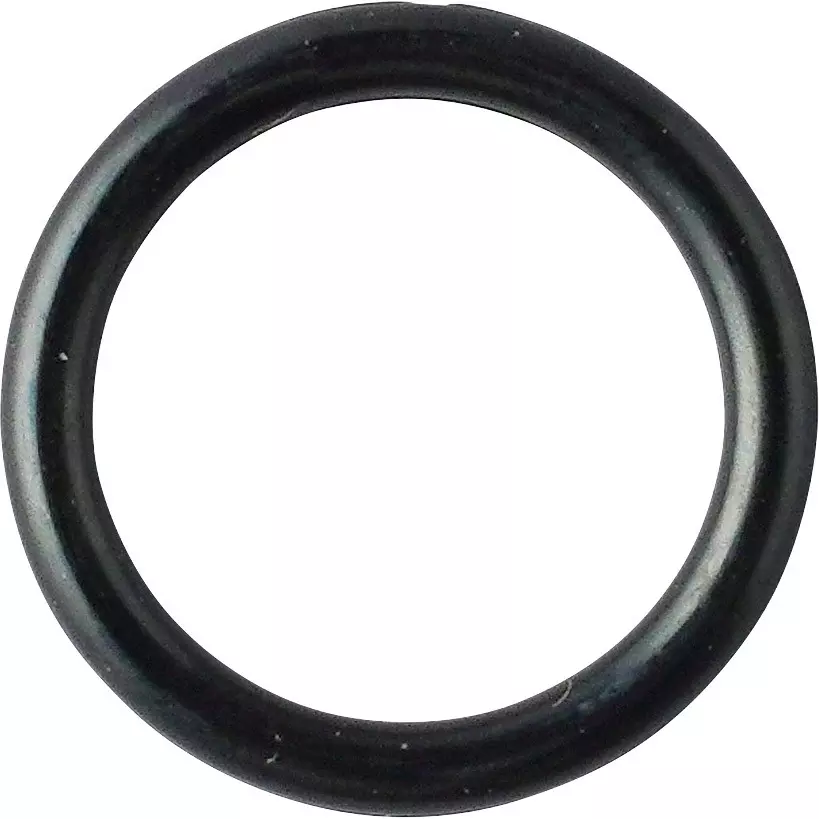 NOK O-Ring 1BP 20.6 mm Outer and 2.4±0.09 mm Wire Diameter, 1BP-16