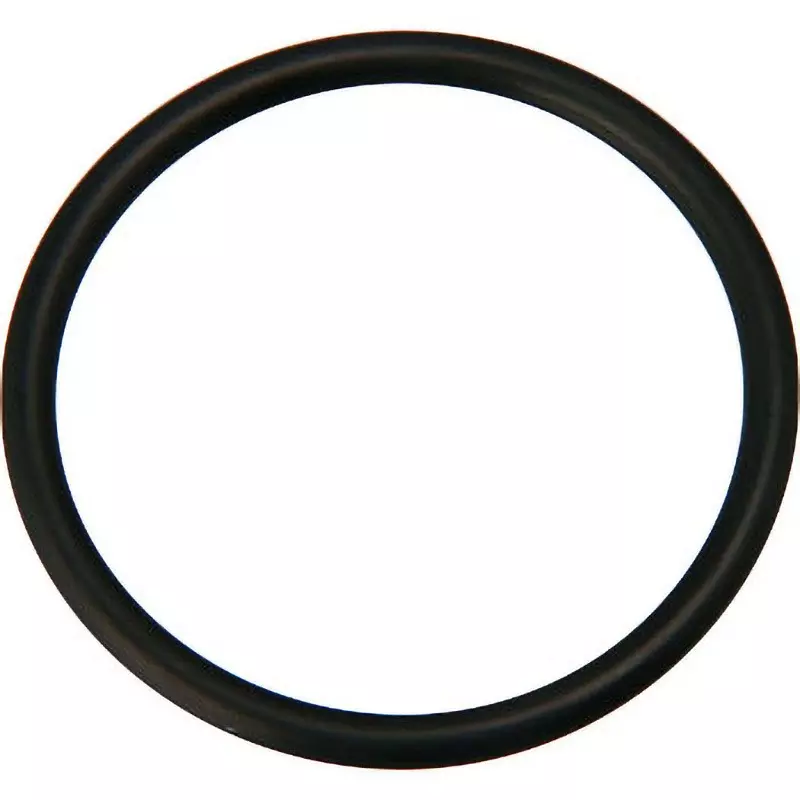 NOK O-Ring 1BP 50.7 mm Outer and 3.5±0.1 mm Wire Diameter, 1BP-44