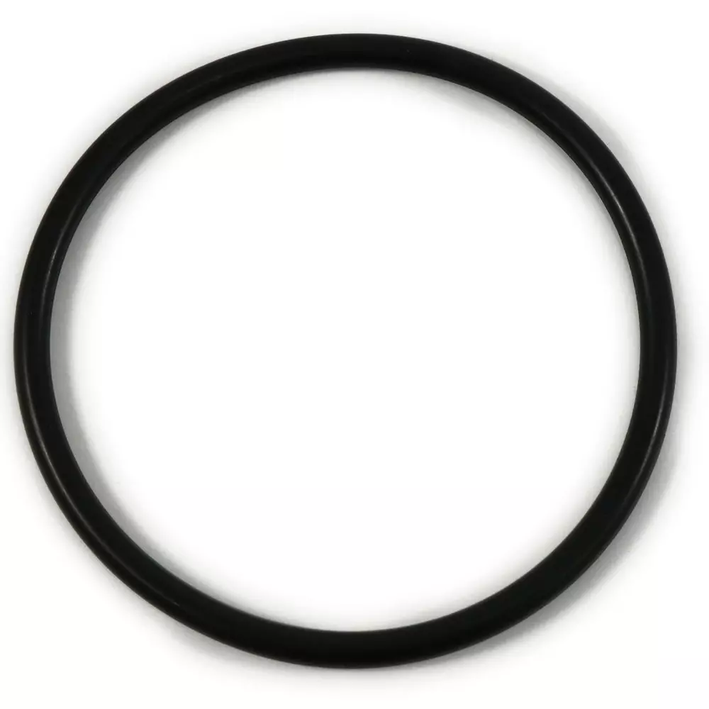 NOK O-Ring P Series (for Dynamic) 94.6x106 mm Diameter, P95
