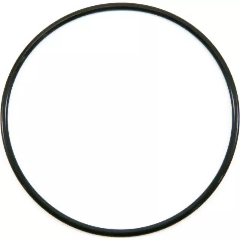 NOK O-Ring G Series (For Static) Fluorine Black 95.6 mm Outer and 3.1±0.1 Wire Diameter, 4DG90