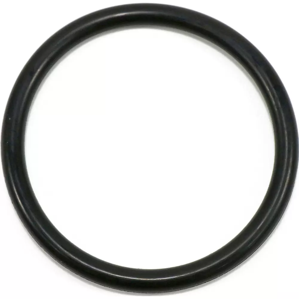 NOK O-Ring P Series (for Dynamic) 61.6x73 mm Diameter, P62