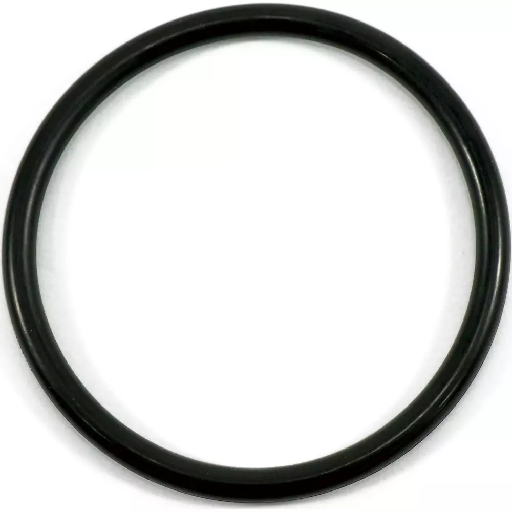 NOK O-Ring P Series (for Dynamic) 74.6x86 mm Diameter, P75