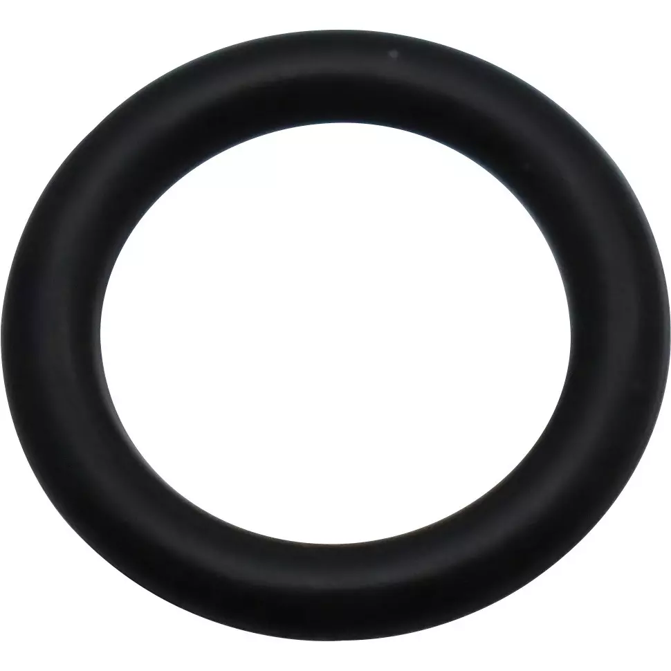 NOK O-Ring P Series (for Dynamic) 8.8x12.6 mm Diameter, P9