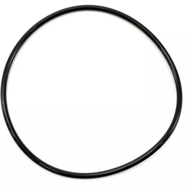 NOK O-Ring V Series (For Vacuum Flange) Fluorine 119x127 mm Diameter, 4DV120