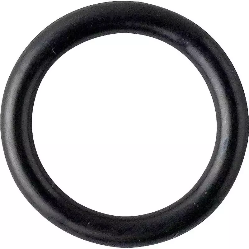 NOK O-Ring 1BP 18.6 mm Outer and 2.4±0.09 mm Wire Diameter, 1BP-14