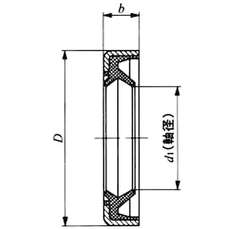 iko-oil-seal-ds-25-mm-outer-diameter-ds18253