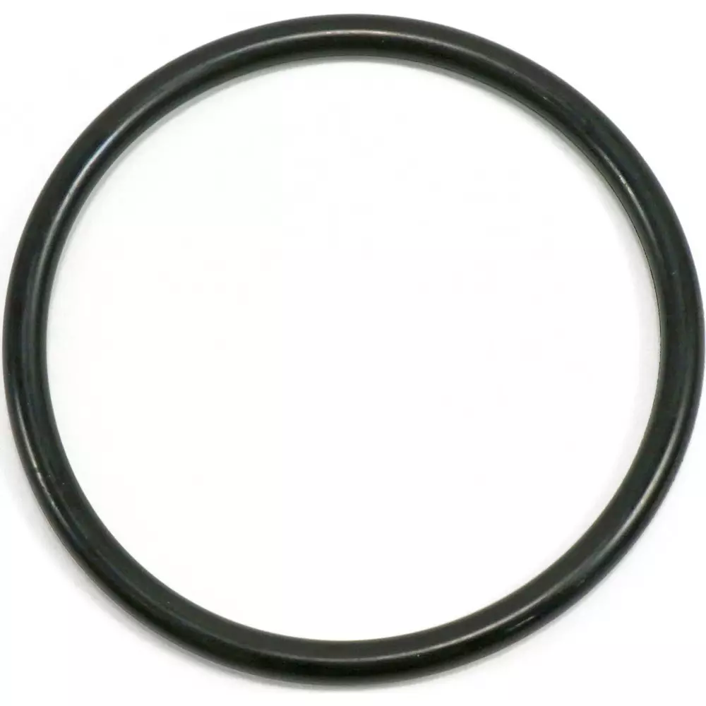 NOK O-Ring P Series (for Dynamic) 79.6x91 mm Diameter, P80