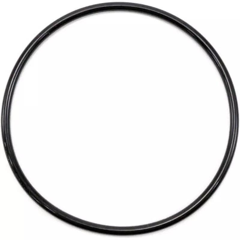 NOK O-Ring V Series (For Vacuum Flange) Fluorine 99x107 mm Diameter, 4DV100