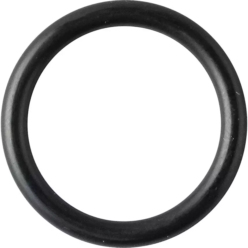 NOK O-Ring 1BP 22.6 mm Outer and 2.4±0.09 mm Wire Diameter, 1BP-18