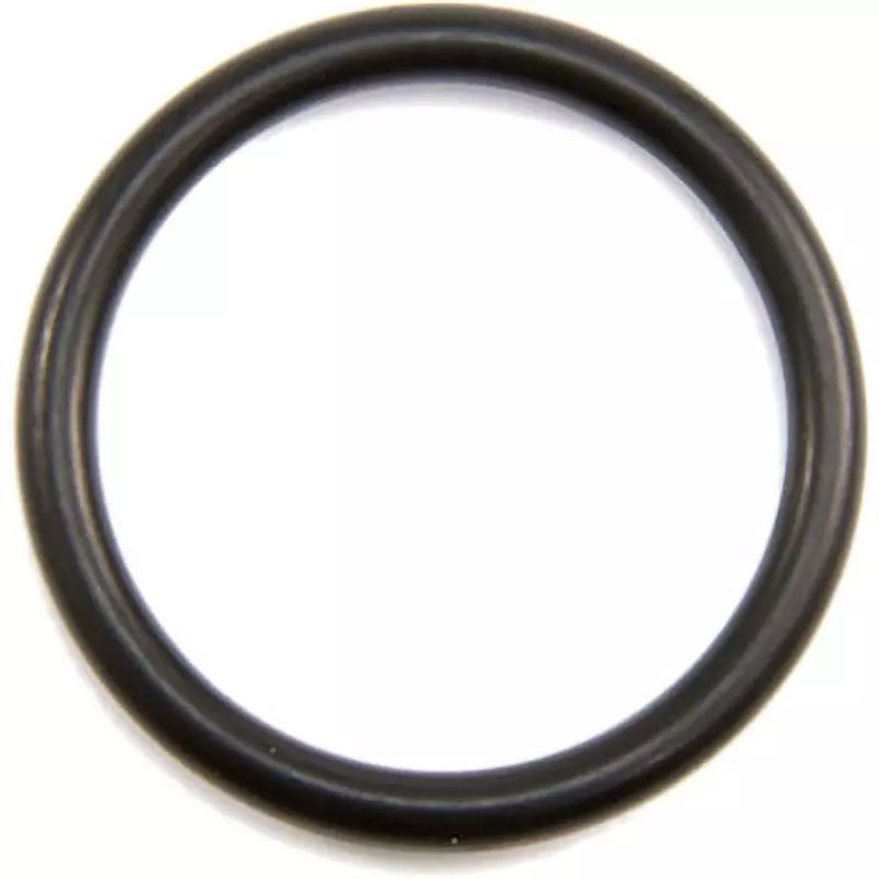 NOK O-Ring 1BP 61 mm Outer and 5.7±0.13 mm Wire Diameter, 1BP-50A