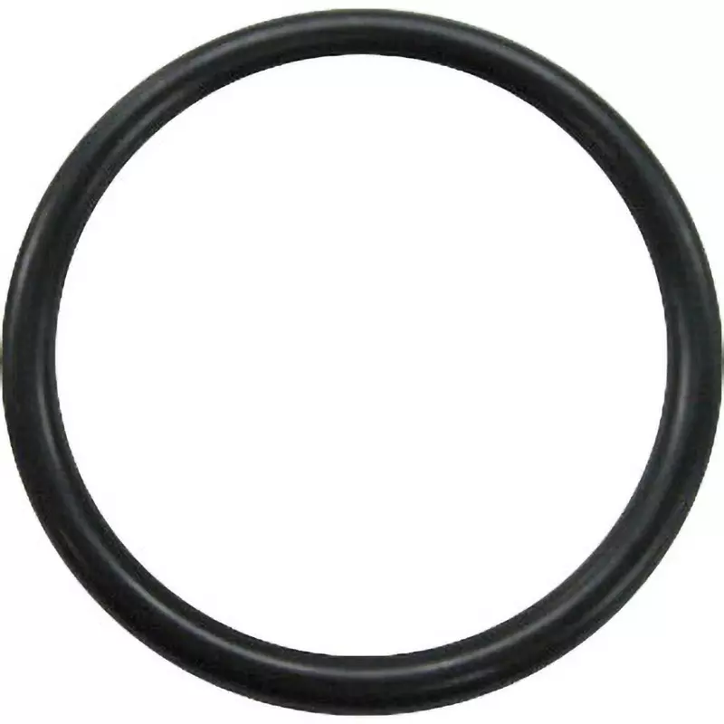 NOK O-Ring 1BP 291.3 mm Outer and 8.4±0.15 mm Wire Diameter, 1BP-275